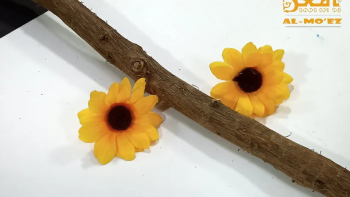 ⁦عود مكرمية غير مقشر⁩ - الصورة ⁦3⁩