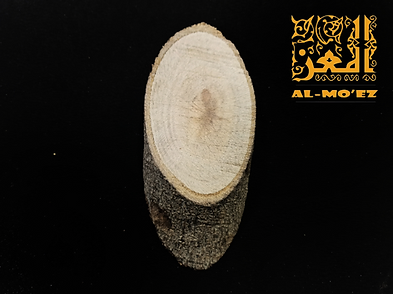 جذع بيضاوي ١٠سم