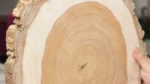 ⁦جزع شجر سرسوع سادة⁩ - الصورة ⁦3⁩