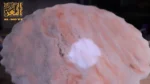 ⁦قالب صينية مدور غير منتظم⁩ - الصورة ⁦3⁩