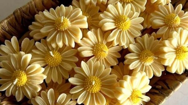 ⁦قالب زهره عباد الشمس⁩ - الصورة ⁦1⁩
