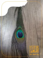 ⁦باكيدج 5 ريش طاووس⁩ - الصورة ⁦4⁩