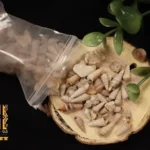 ⁦باكيدج كورس الريزن + كتاب الريزن + خامات الريزن⁩ - الصورة ⁦11⁩