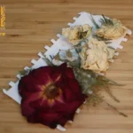 ⁦باكيدج الدلايات لخامات الريزن⁩ - الصورة ⁦4⁩