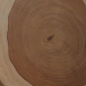Tree wood- جزوع شجر طبيعي